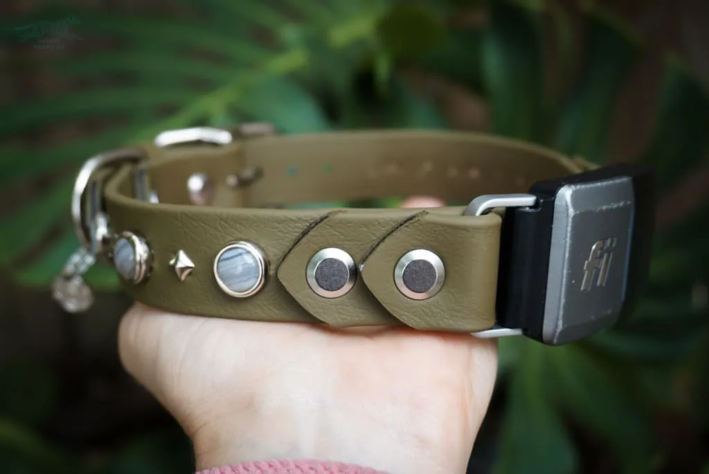 Fi Compatible 1" GAIA Gemstone Buckle Collar