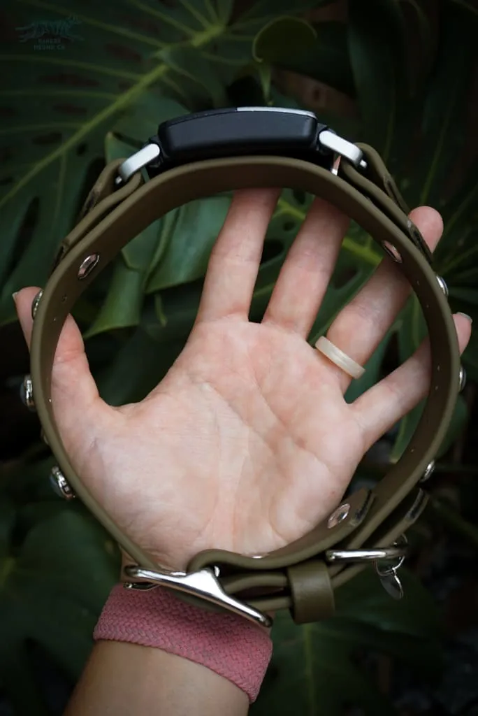Fi Compatible 1" GAIA Gemstone Buckle Collar