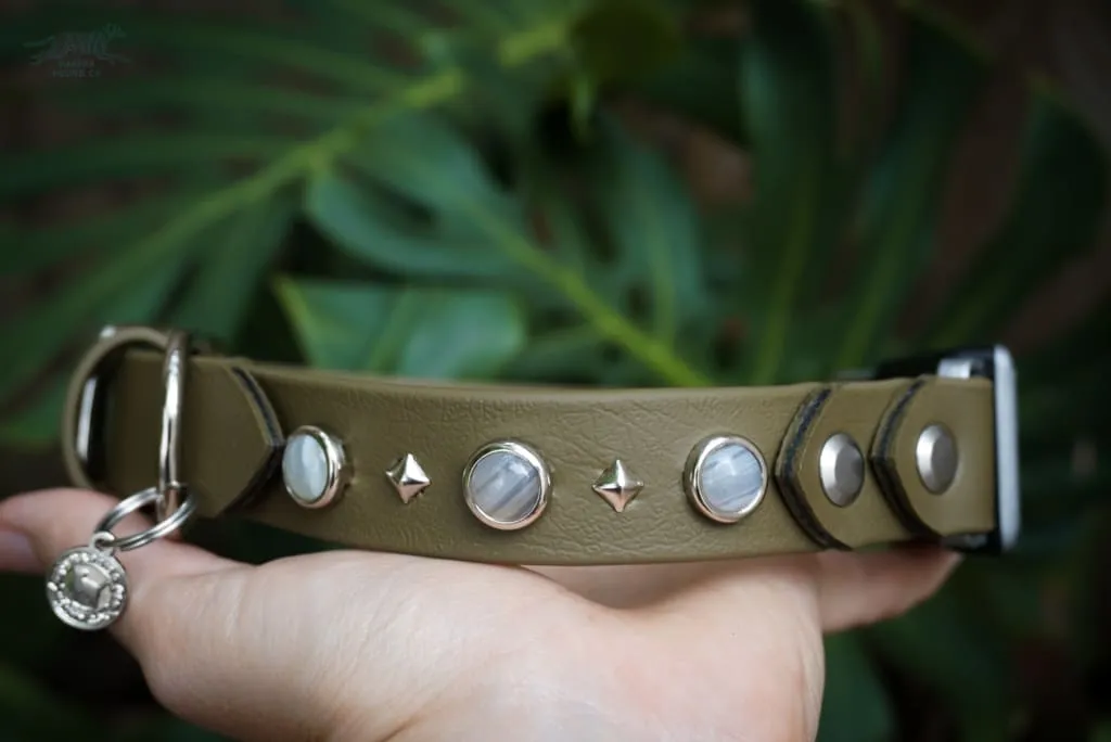 Fi Compatible 1" GAIA Gemstone Buckle Collar