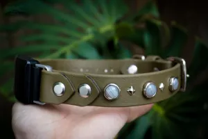 Fi Compatible 1" GAIA Gemstone Buckle Collar