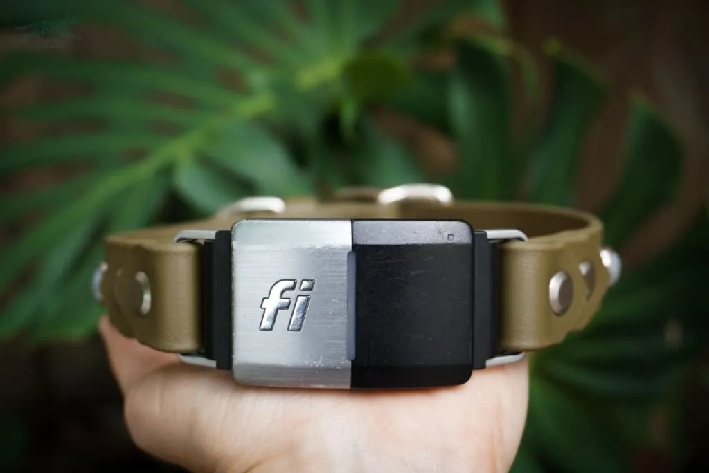 Fi Compatible 1" GAIA Gemstone Buckle Collar