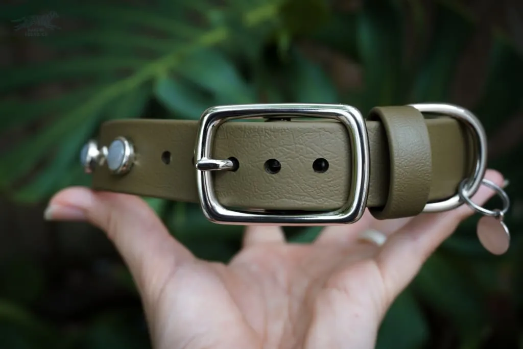Fi Compatible 1" GAIA Gemstone Buckle Collar