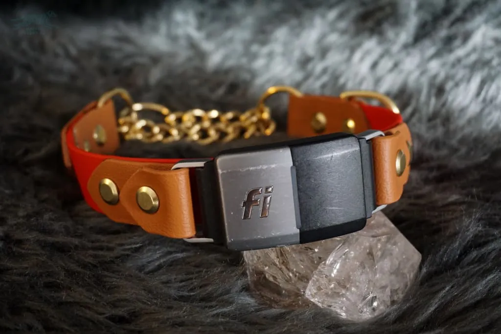 Fi Compatible 1" Rua Martingale Collar
