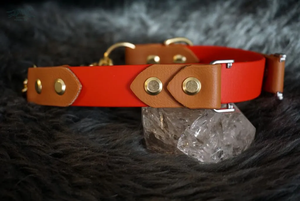 Fi Compatible 1" Rua Martingale Collar