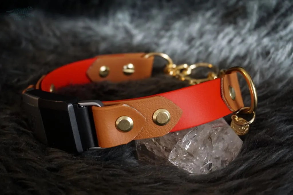 Fi Compatible 1" Rua Martingale Collar