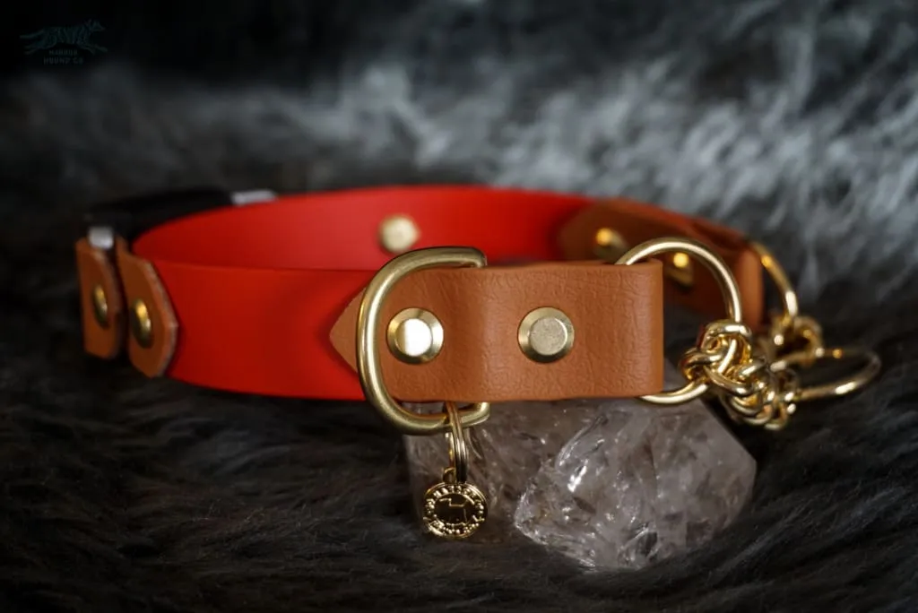 Fi Compatible 1" Rua Martingale Collar