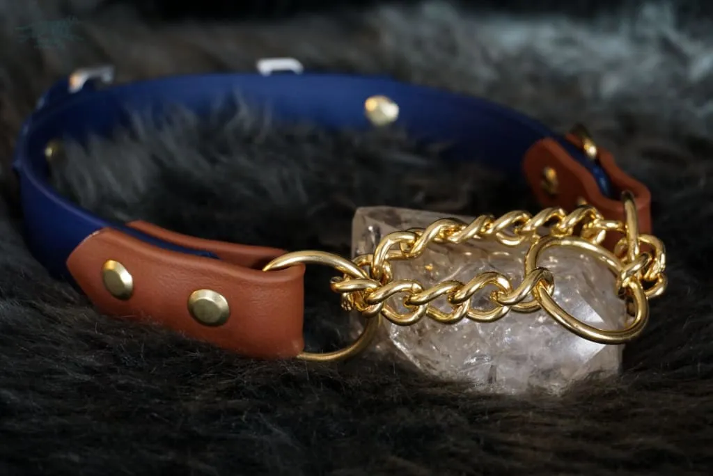 Fi Compatible 1" Rua Martingale Collar