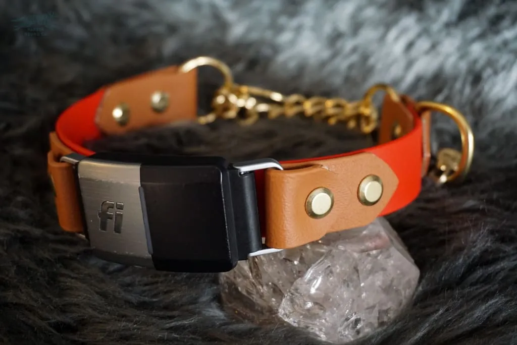 Fi Compatible 1" Rua Martingale Collar