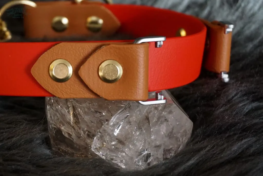 Fi Compatible 1" Rua Martingale Collar