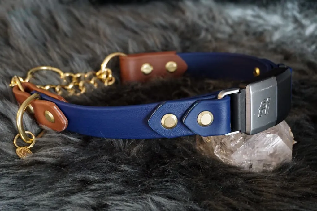 Fi Compatible 1" Rua Martingale Collar