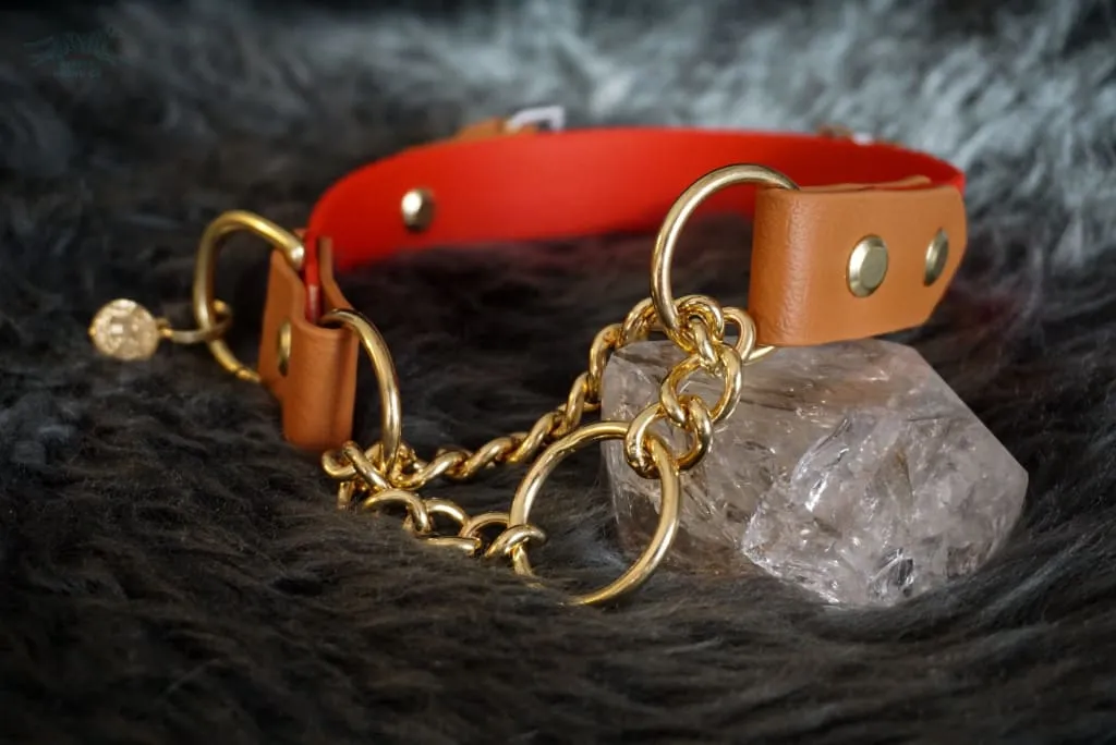 Fi Compatible 1" Rua Martingale Collar