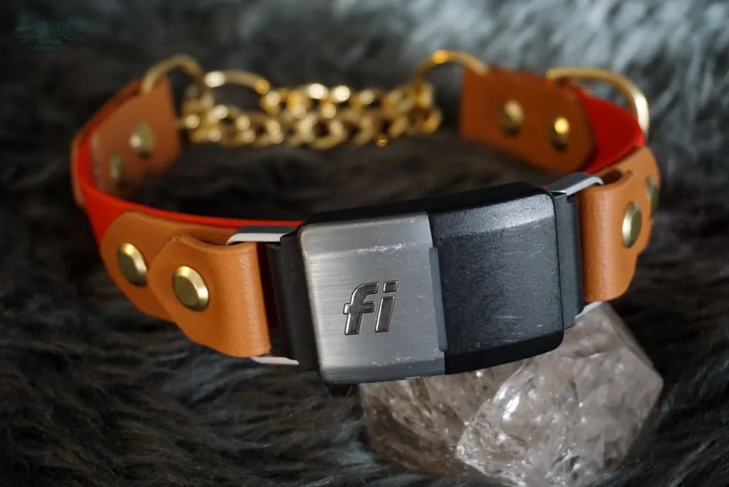 Fi Compatible 1" Rua Martingale Collar