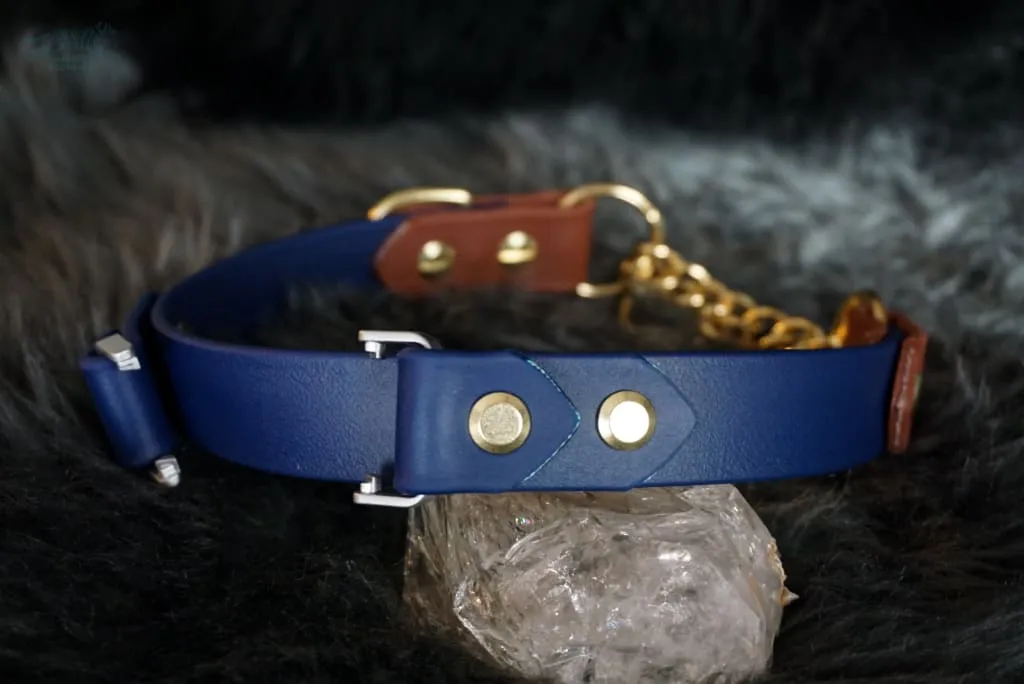 Fi Compatible 1" Rua Martingale Collar