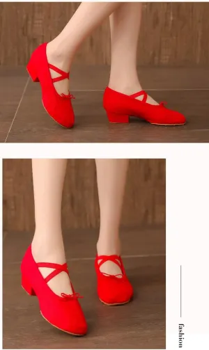 Women's Jazz Shoes Lace-up Ballet Sneakers Professional Training Indoor and Outdoor Distinction Dance Shoes Platform Walking Two-Point Dance Sneakers